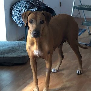 Meet your Posher, Diane